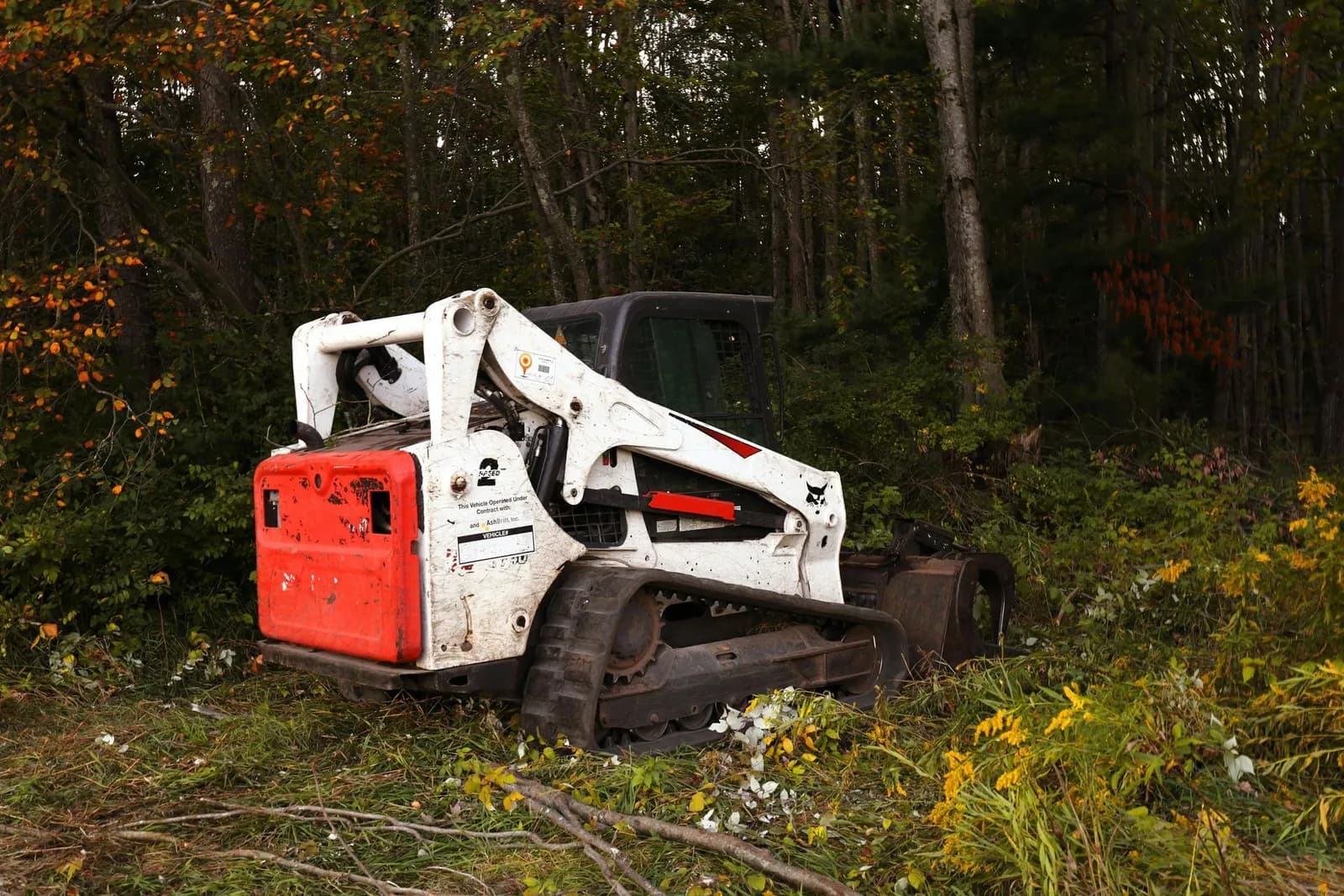How Land Clearing Companies Can Show Up in AI Search Results