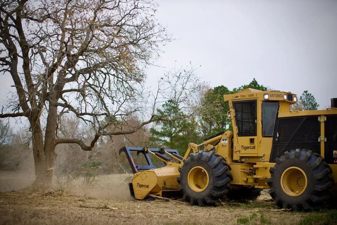 A forestry mulcher clearing brush around a mature tree