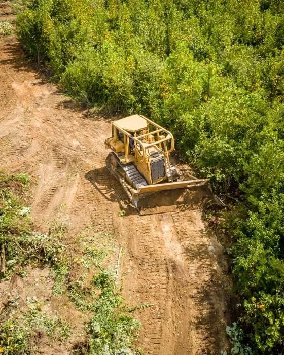 Dozer cutting a path through thick brush, seen from above