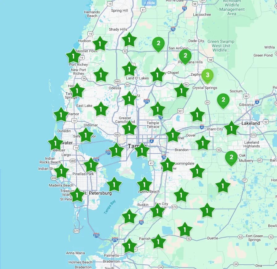 Google Maps ranking grid of the Tampa Bay area with green #1 pins across the whole region